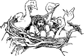 image of a man in a bird's nest