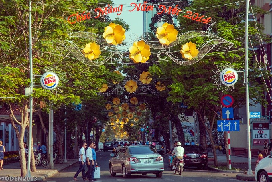 yellow flowers over the road