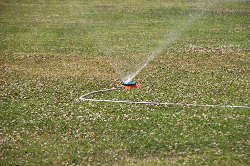 sprinkler on the green lawn