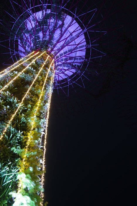 Supertree among night Singaporea