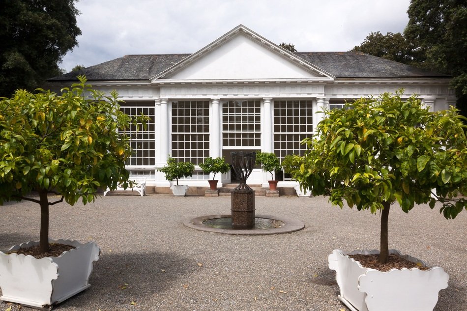 white building of a orangery among orange trees