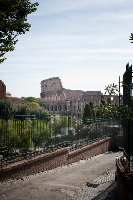 view of the Colosseum in Italy