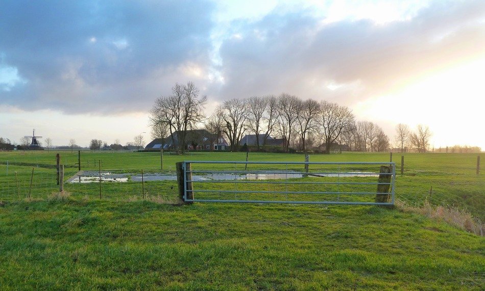 rural landscape in netherlands