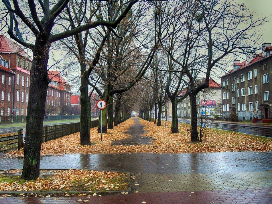 picture of the park in gdansk