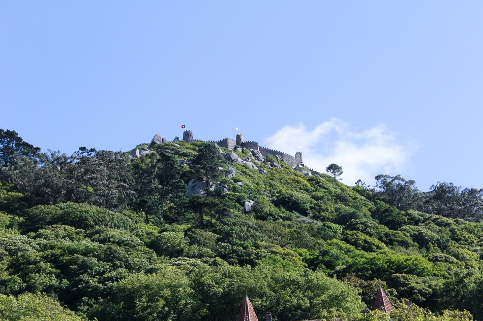 castle in the forest in Portugal