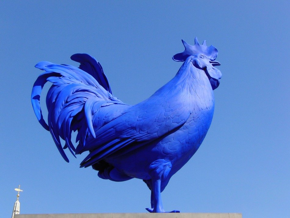 hahn blue rooster statue