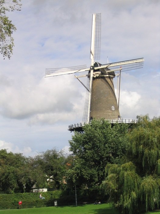photo of a windmill among green trees in the Netherlands