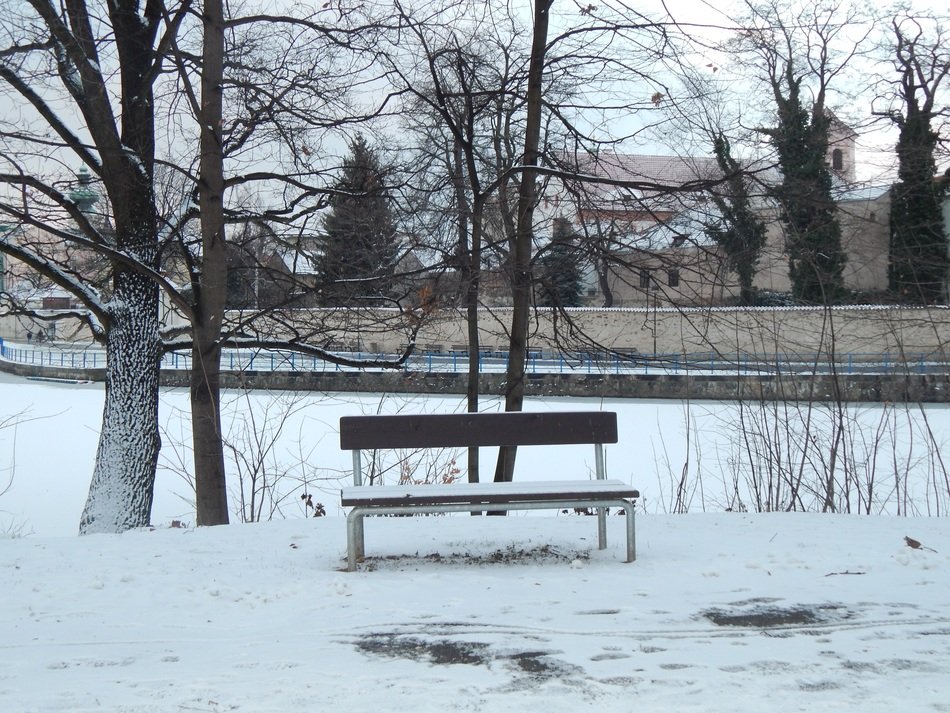bench in the winter garden