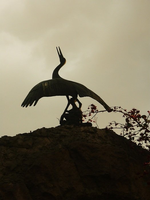 shadow of the sculpture of a crane