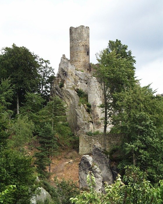 ruins of FrÃ½dÅ¡tejn Castle on rock among trees, czech