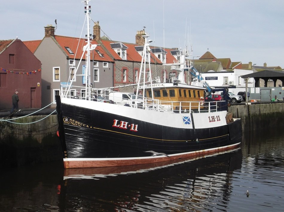 extraordinarily beautiful boat