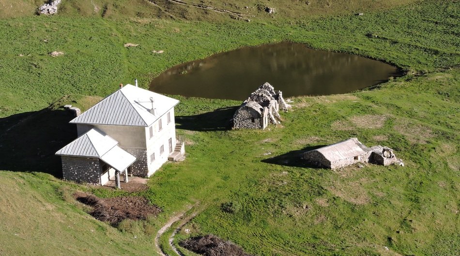 green nature house