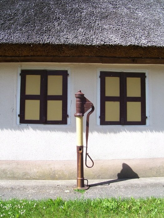rotary pump farm