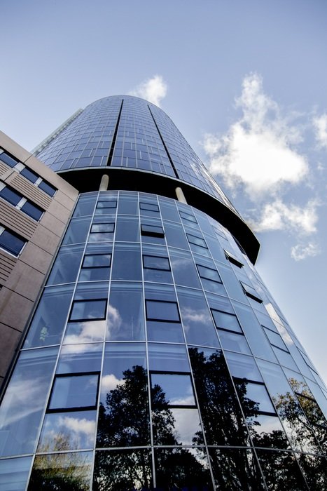 nice skyscrapers building with the glass and reflections of plants in it