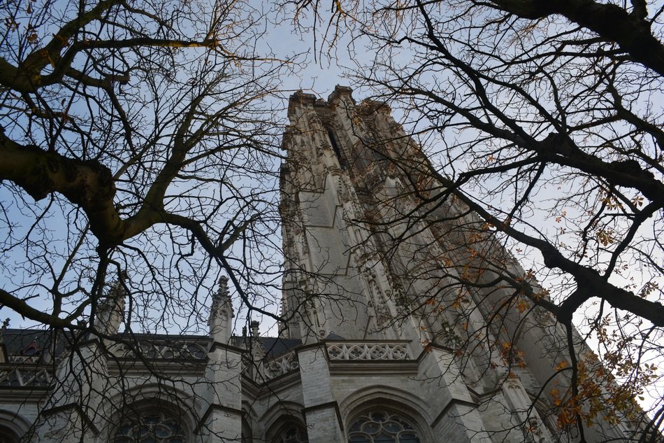 View from behind the trees at the Cathedral of St. Rombutov