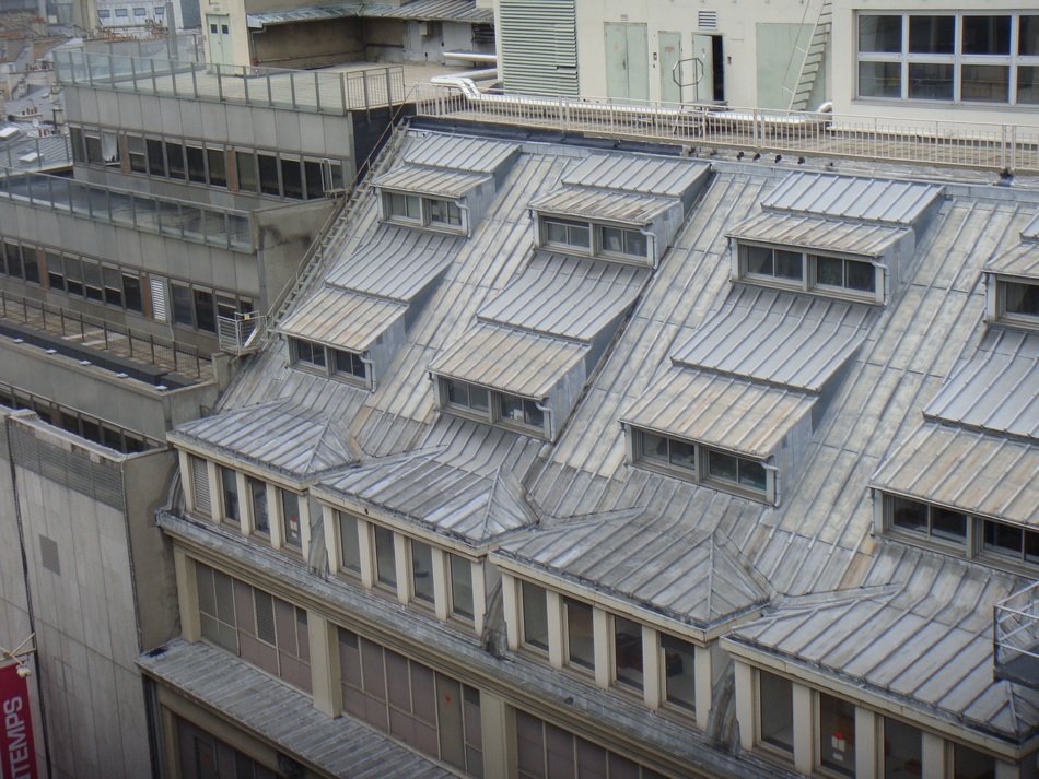 Roofs of the houses in the Paris in France