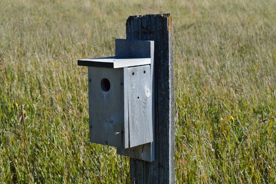 grey bird house