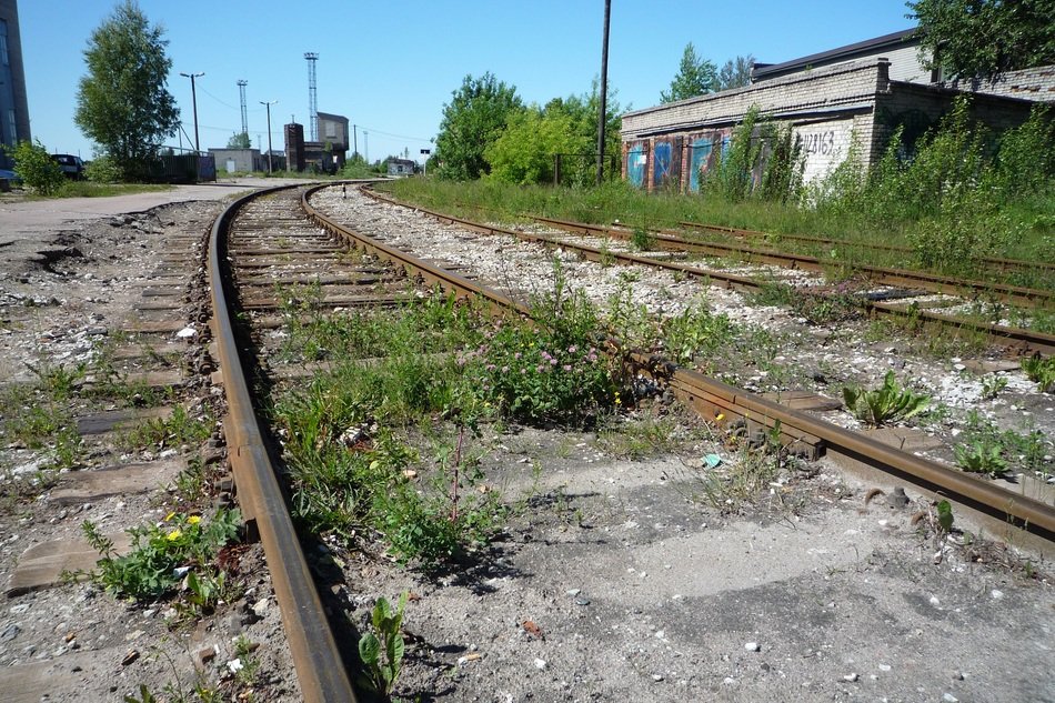 grass on the railroad