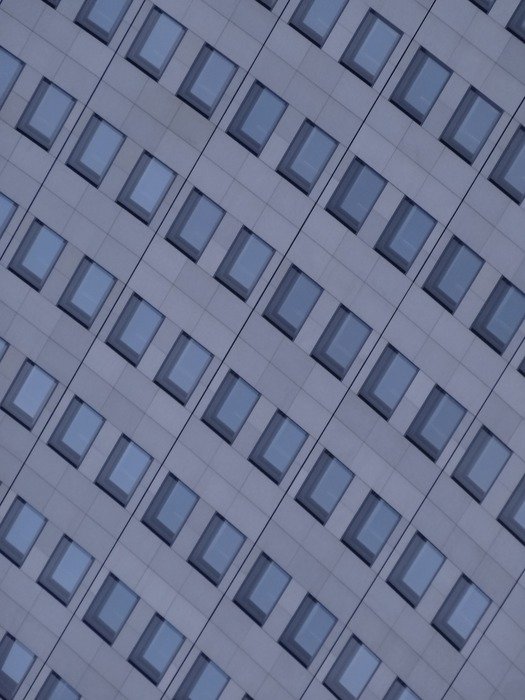 many windows on the facade of a skyscraper