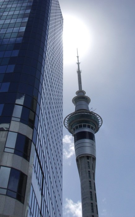 network station auckland