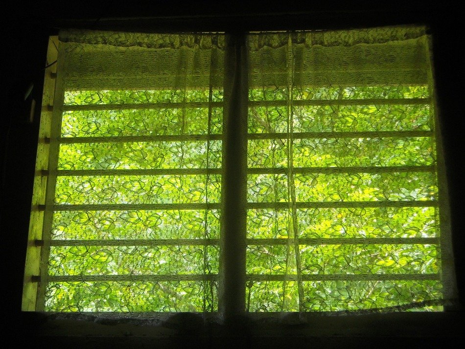 Picture of green room window