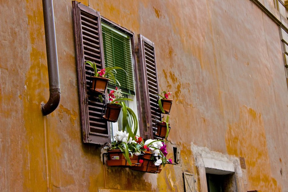 window with flowers on the facade of the old house