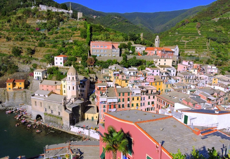 View of the town of Vernazza amidst the picturesque nature