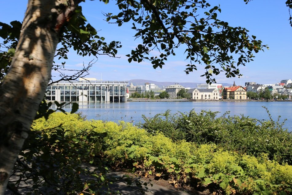 Far view from behind the trees to the center of Reykjavik