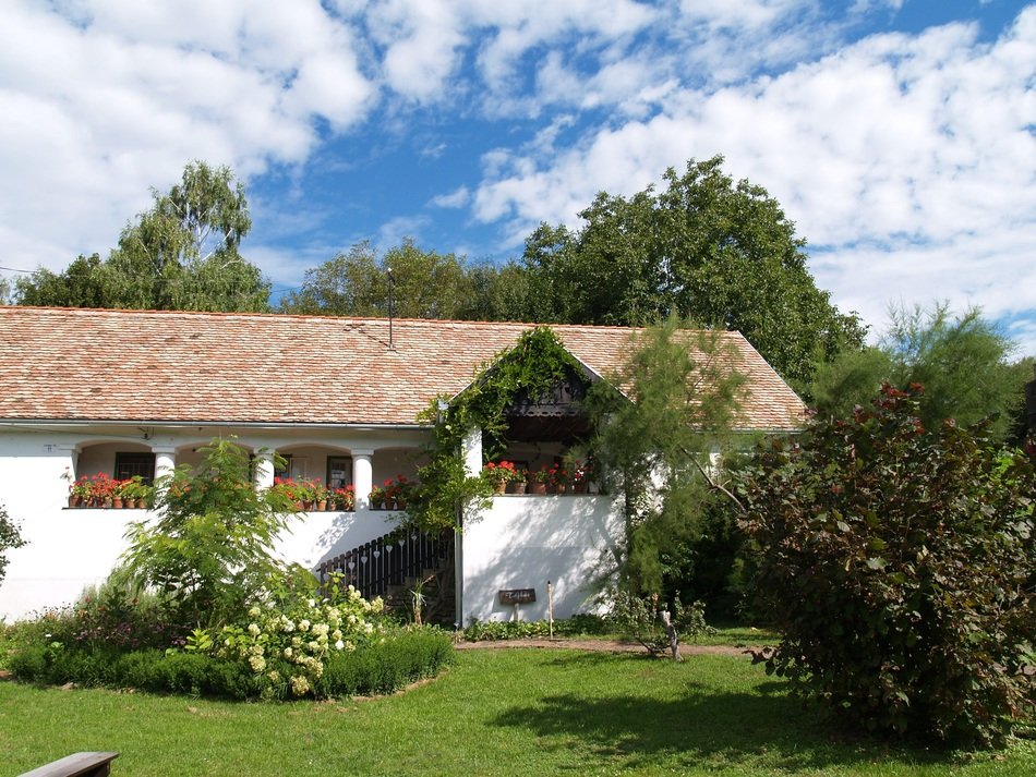green grass near the country house