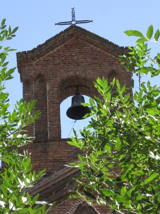 view of the bell tower through the foliage of trees