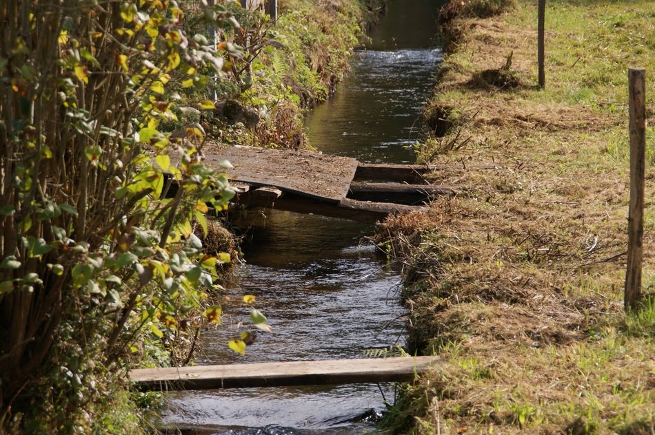 old staircase in the black forest