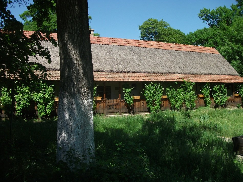 old traditional romanian house timisoara