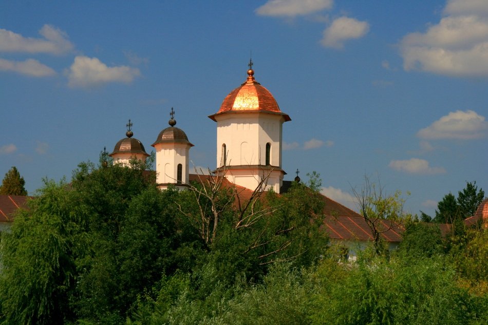 golden domes of the church against the sky