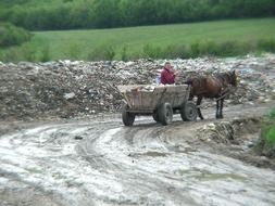 romania gipsy on horse drawn carriage with garbage