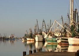 many boats in the sea harbor