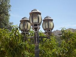 classic outdoor lantern in the park on a sunny day