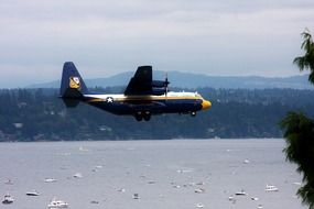 plane flies over the sea coast