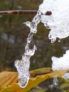 winter ice crystals