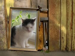 old painting depicting a cat