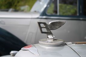chrome logo on the car