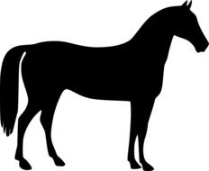 black silhouette of a beautiful horse