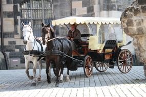 frauenkirche horses