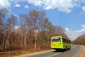 green bus public transport