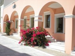 flowers on street at facade, greece, santorini