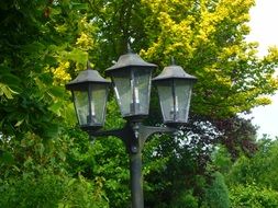 street lamp on the background of green trees