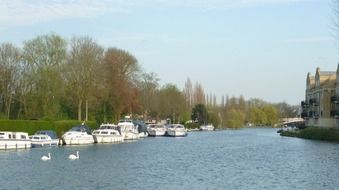 boats row on thames river, uk