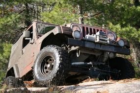 jeep on a high hill