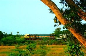 train on railroad in wilderness