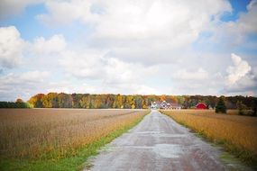 rural road through the field