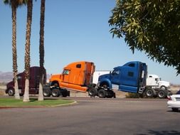trucks stand in a parking lot near the trees